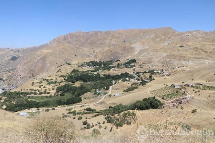 Hakkari'de köylülerden dağ keçilerine gönüllü koruma
