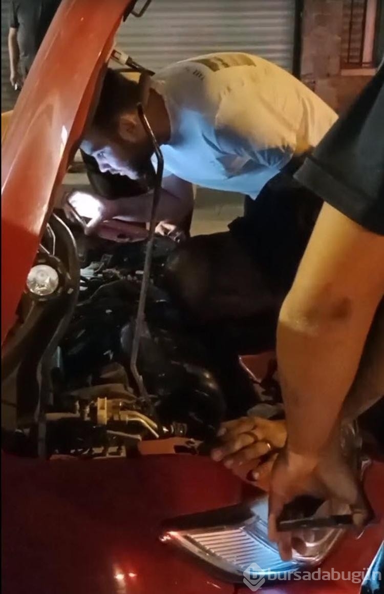 Kedi otomobil motoruna sıkıştı! İtfaiye ekipleri kısa sürede kurtardı