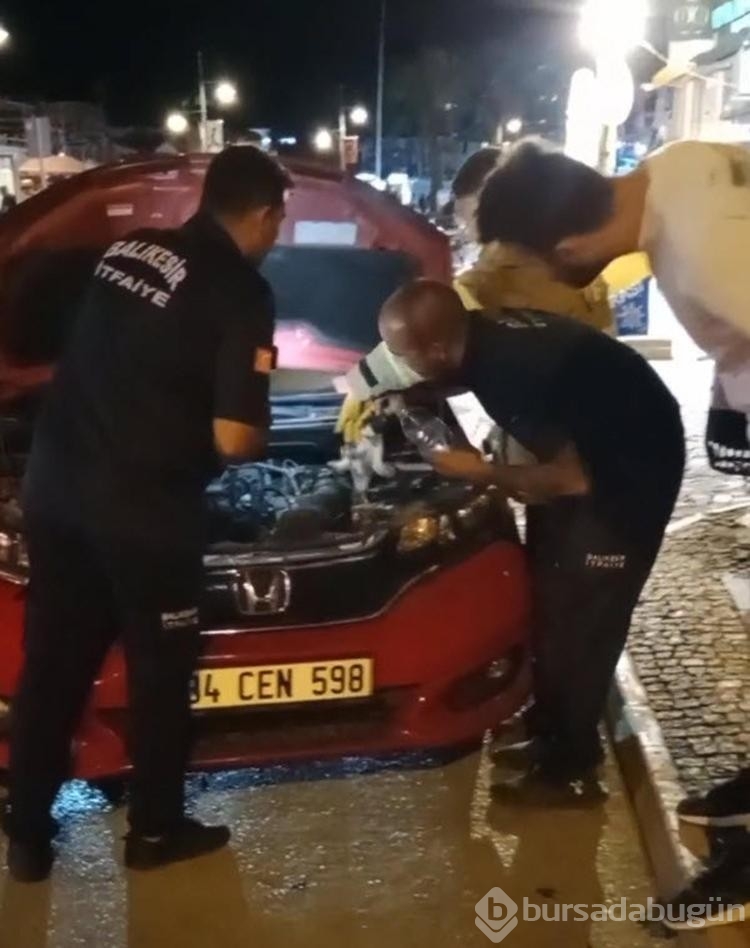 Kedi otomobil motoruna sıkıştı! İtfaiye ekipleri kısa sürede kurtardı