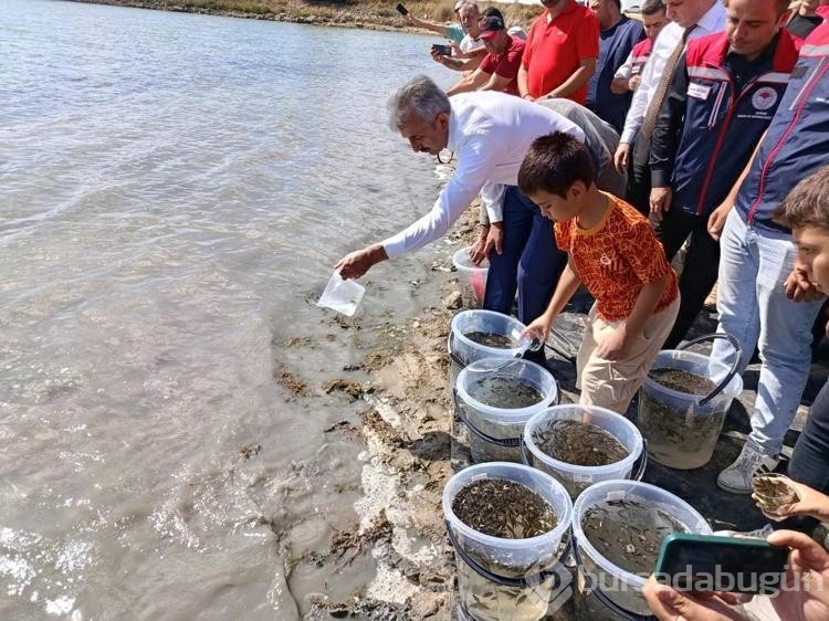 Edirne'de 30 bin yavru sazan gölete bırakıldı
