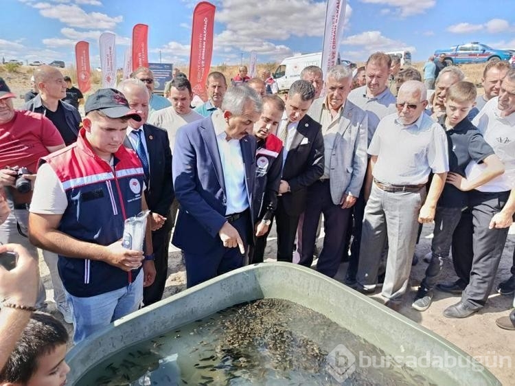 Edirne'de 30 bin yavru sazan gölete bırakıldı
