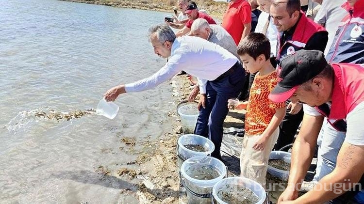 Edirne'de 30 bin yavru sazan gölete bırakıldı
