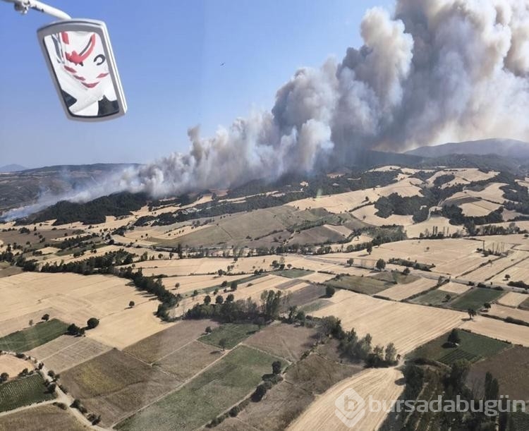 Çanakkale'de bu yıl çıkan yangın sayısı ve zarar gören alanların rakamı şaşırttı