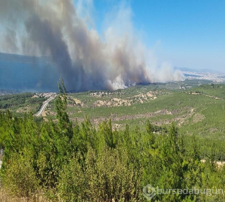 Çanakkale'de bu yıl çıkan yangın sayısı ve zarar gören alanların rakamı şaşırttı