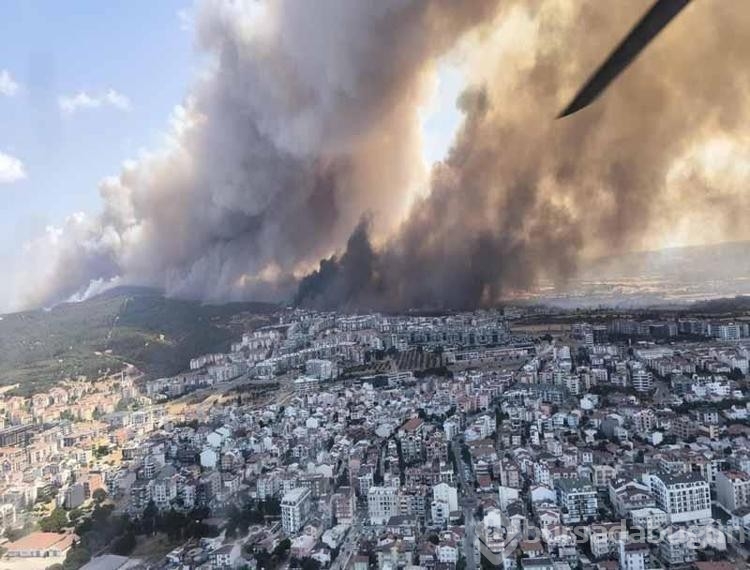 Çanakkale'de bu yıl çıkan yangın sayısı ve zarar gören alanların rakamı şaşırttı