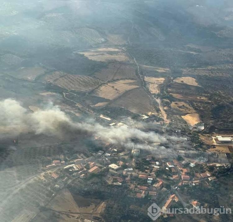Çanakkale'de bu yıl çıkan yangın sayısı ve zarar gören alanların rakamı şaşırttı