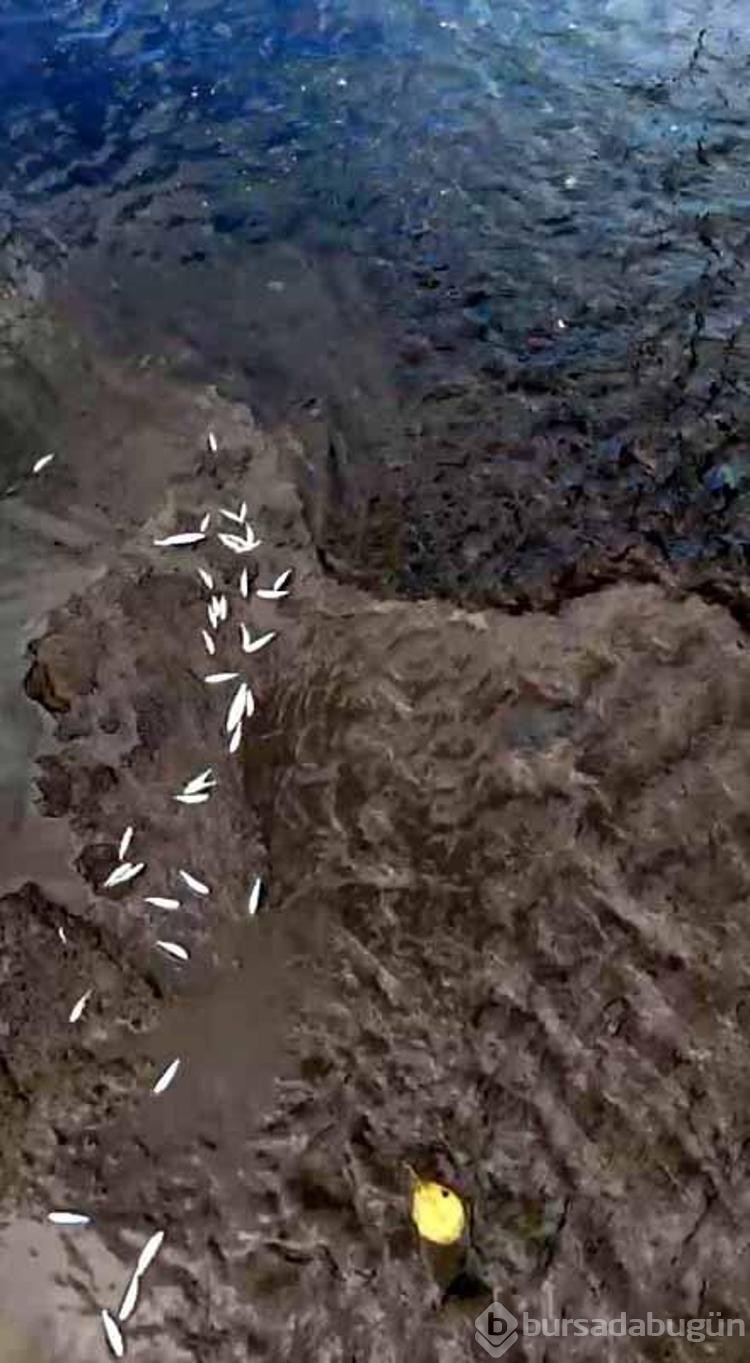 Katı atık bertaraf tesisi borusu patladı! 