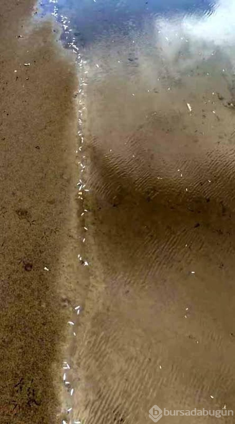 Katı atık bertaraf tesisi borusu patladı! 