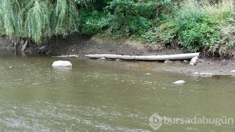 Katı atık bertaraf tesisi borusu patladı! 