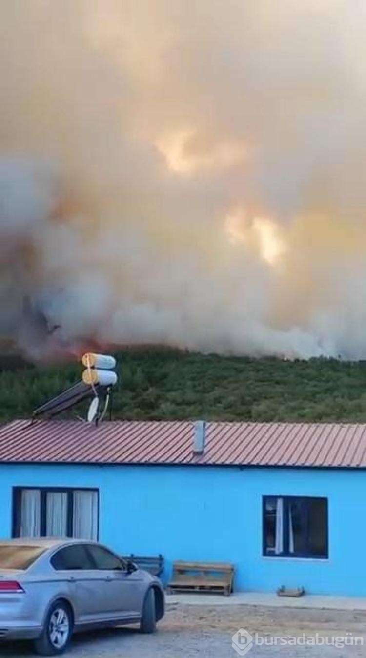 Bursa'da orman yangını

