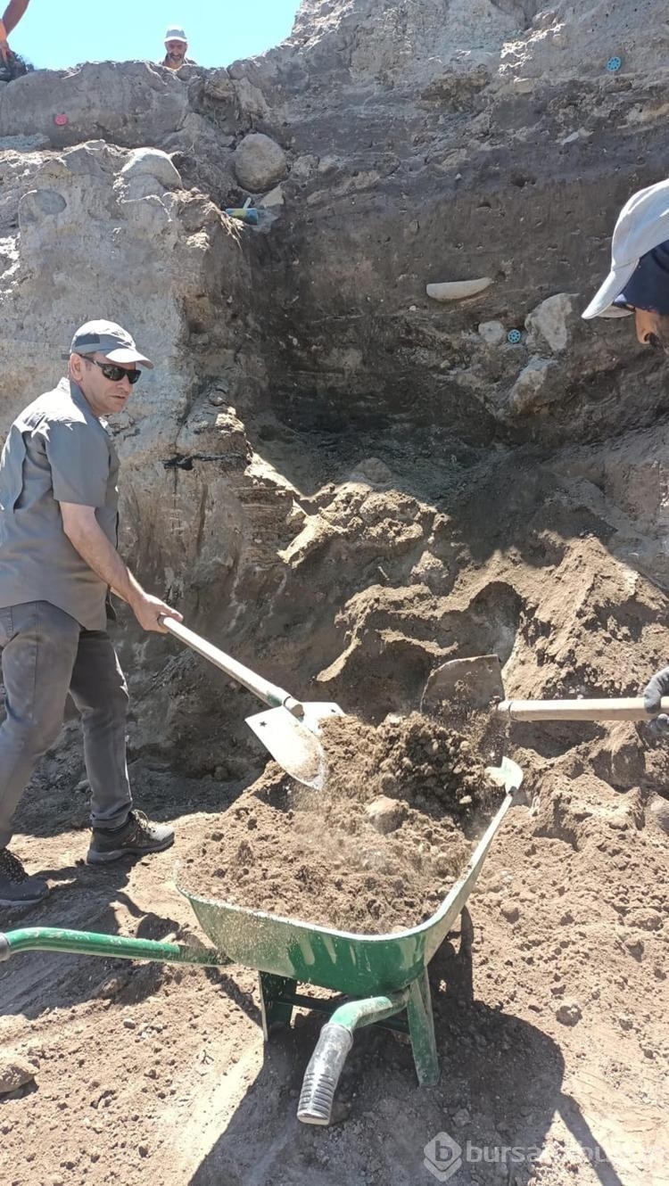 Öğrenciyken hayal ettiği kazıyı genel müdür yardımcısı olarak gerçekleştiriyor
