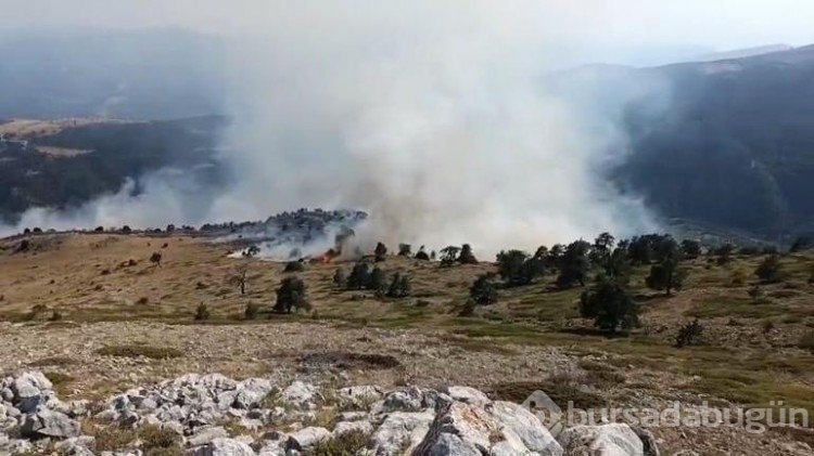 Amasya'da orman yangını