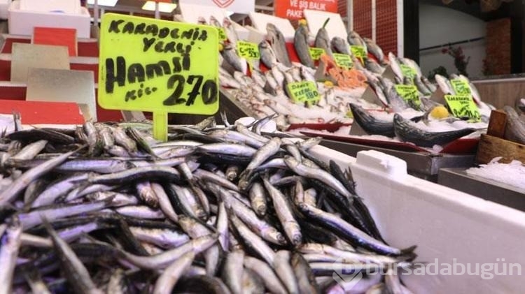 Samsun'da av sezonun ilk balıkları tezgaha çıktı
