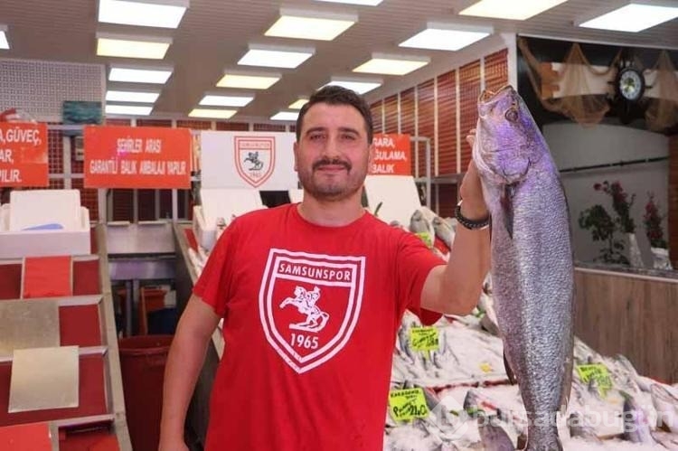 Samsun'da av sezonun ilk balıkları tezgaha çıktı
