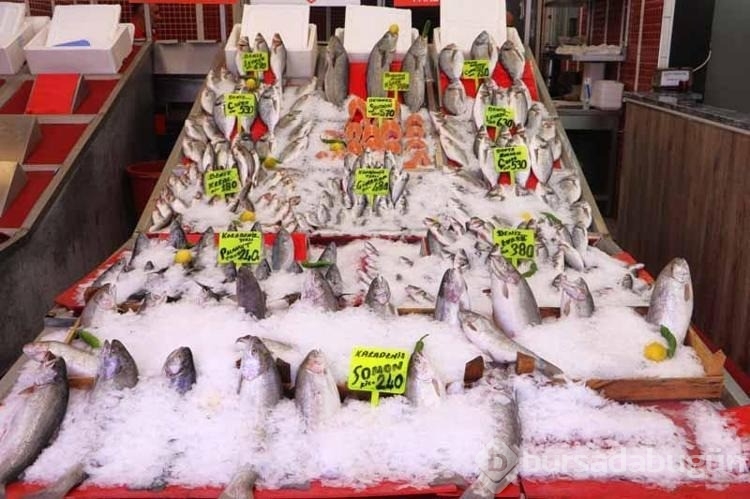 Samsun'da av sezonun ilk balıkları tezgaha çıktı