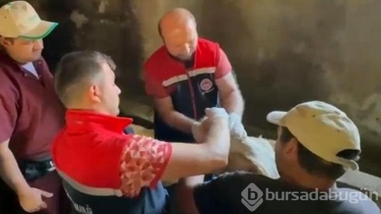 Erzurum'da 120 görevli 817 bin hayvanın yüzde 60'ını aşıladı