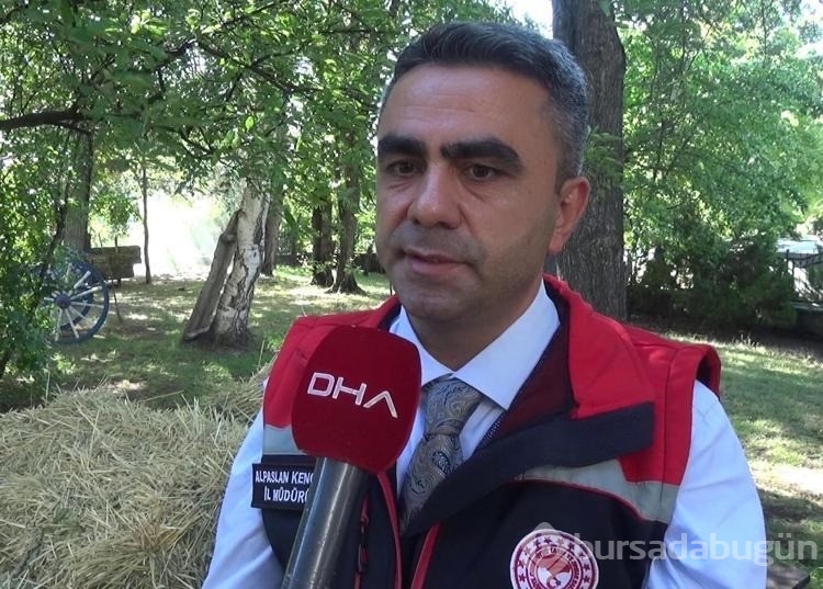 Erzurum'da 120 görevli 817 bin hayvanın yüzde 60'ını aşıladı