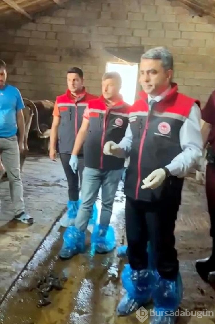 Erzurum'da 120 görevli 817 bin hayvanın yüzde 60'ını aşıladı