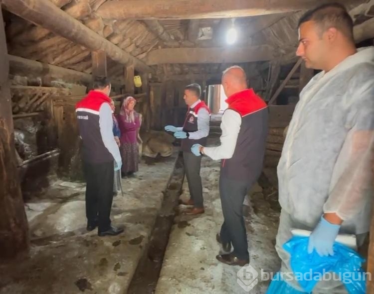 Erzurum'da 120 görevli 817 bin hayvanın yüzde 60'ını aşıladı