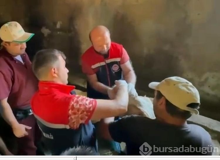 Erzurum'da 120 görevli 817 bin hayvanın yüzde 60'ını aşıladı