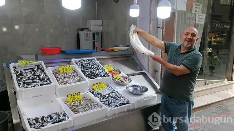Rize'de sezonun ilk balıkları tezgahtaki yerlerini aldı