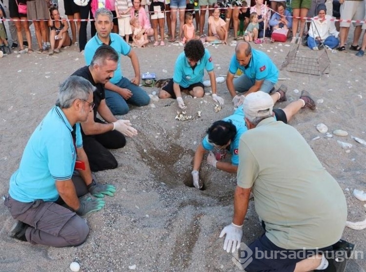 Çıralı'daki çeyrek asırlık gönüllü deniz kaplumbağası koruyucularına plaket