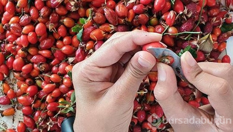 100 gramında 1 portakala eşdeğer c vitamini var! Soğuk algınlığı ve gribe birebir... 