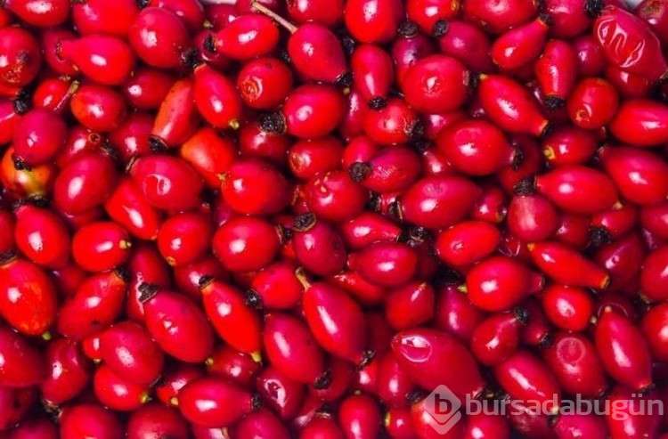 100 gramında 1 portakala eşdeğer c vitamini var! Soğuk algınlığı ve gribe birebir... 