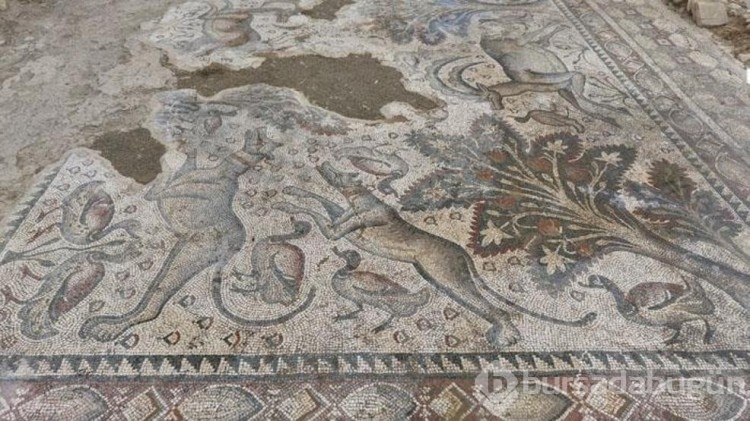 Tesadüfen fark edildi! Tam bin 700 yıllık
