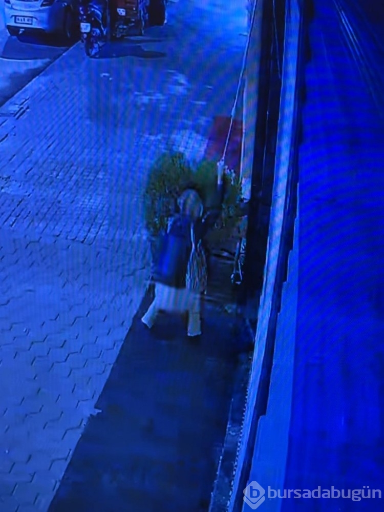 Bir kadın 4 dükkanın önündeki dekorasyon malzemelerini çaldı