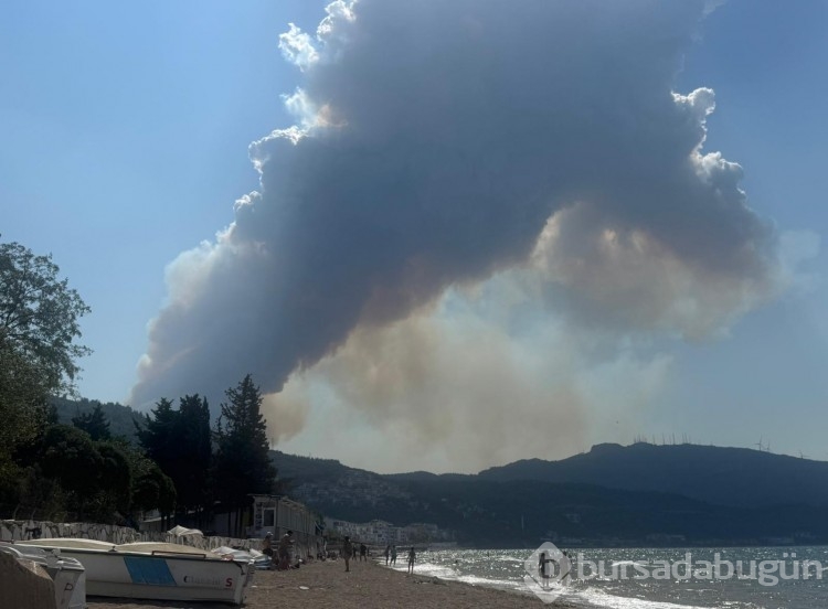 Bursa'daki yangın birçok noktadan görüldü!