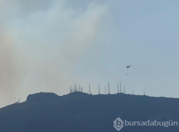 Bursa'daki yangın birçok noktadan görüldü!