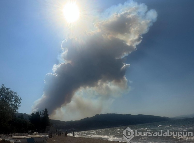 Bursa'daki yangın birçok noktadan görüldü!