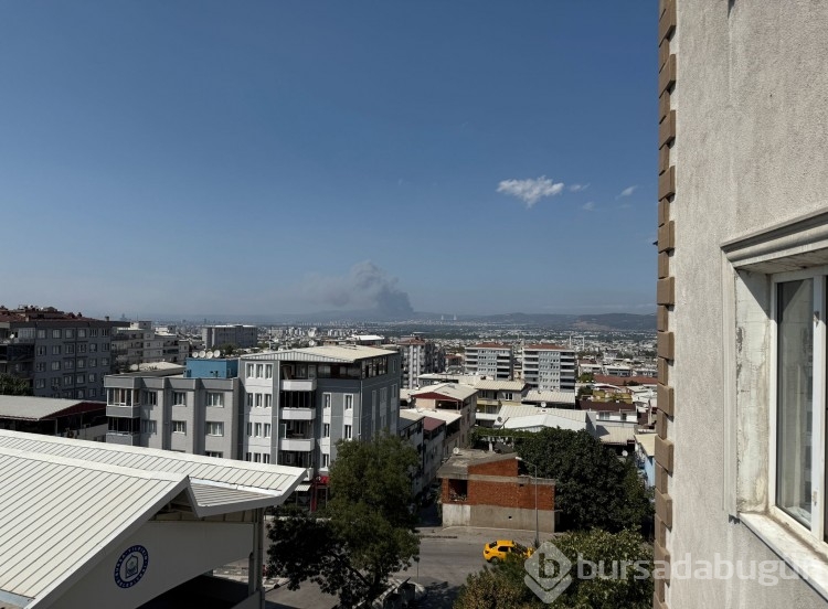 Bursa'daki yangın birçok noktadan görüldü!