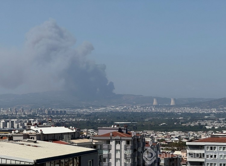 Bursa'daki yangın birçok noktadan görüldü!