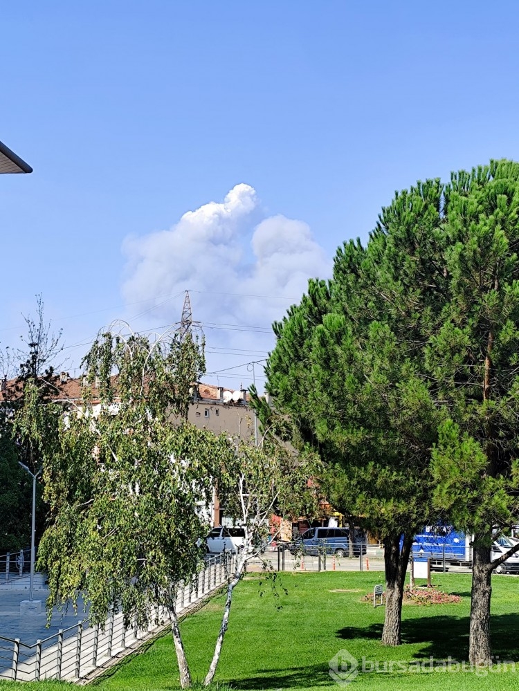 Bursa'daki yangın birçok noktadan görüldü!