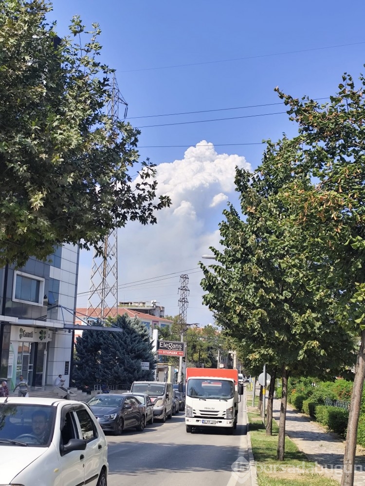 Bursa'daki yangın birçok noktadan görüldü!
