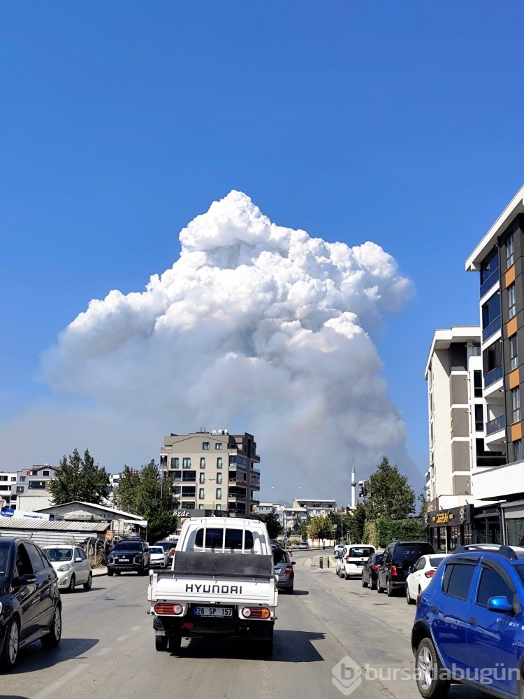 Bursa'daki yangın birçok noktadan görüldü!