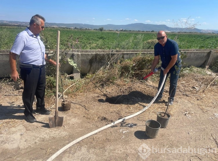 Orman yangınlarında kaybedilen her ağaç yerine 10 fidan