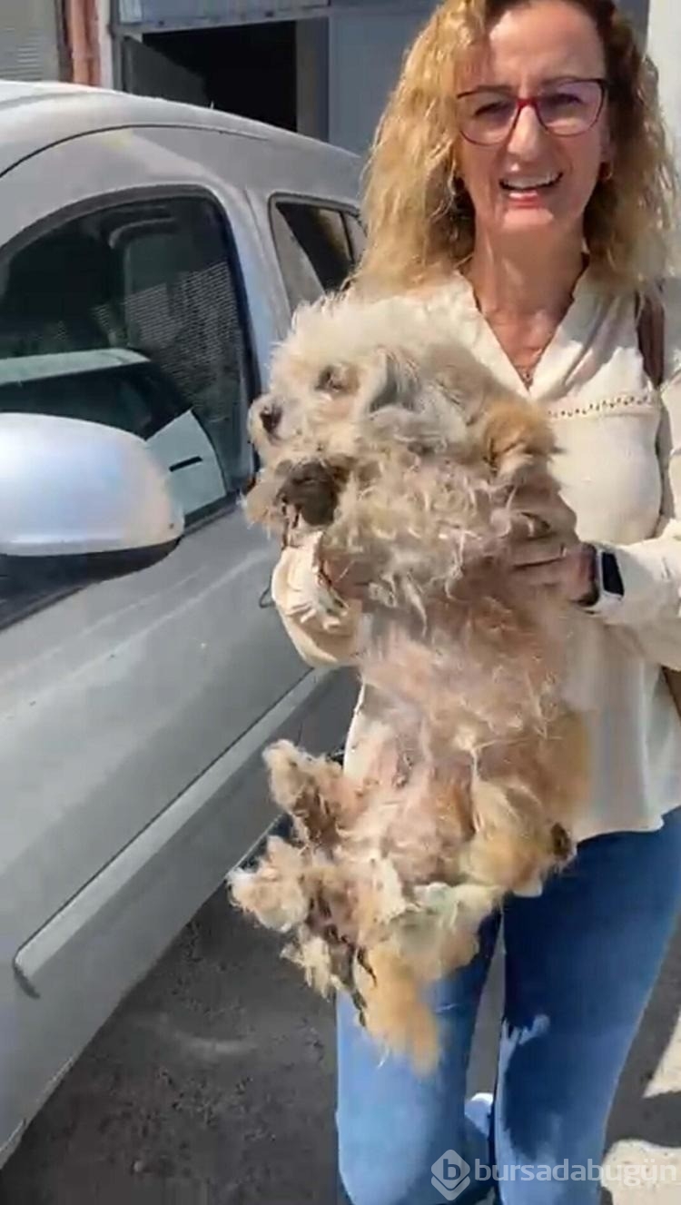 Evde tutulan 20 köpek, şikayet üzerine kurtarıldı