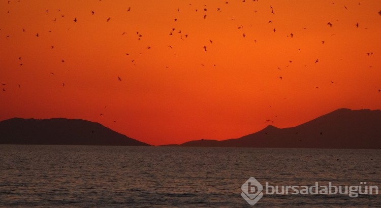 Van'da gün batımı ve ayın doğuşu mest etti