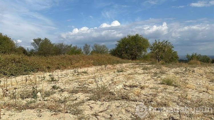 Günlükte bir subayın gözünden Çanakkale Savaşı