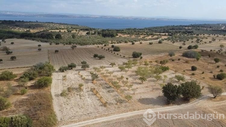 Günlükte bir subayın gözünden Çanakkale Savaşı