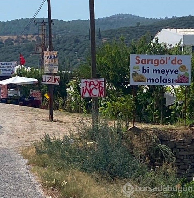 Dalından satışla ekonomiye katkı