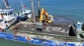 Terme Limanı'nda kum temizliği başladı