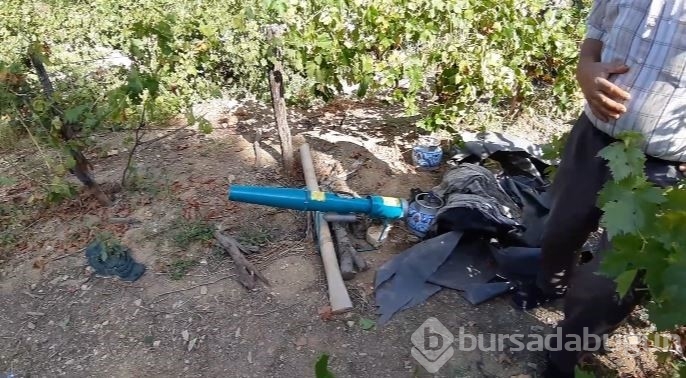 Bolu'da ayılar köylünün kabusu oldu
