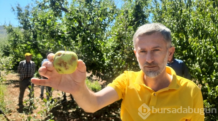 Konya'da dolu etkili oldu, bahçeler büyük zarar gördü