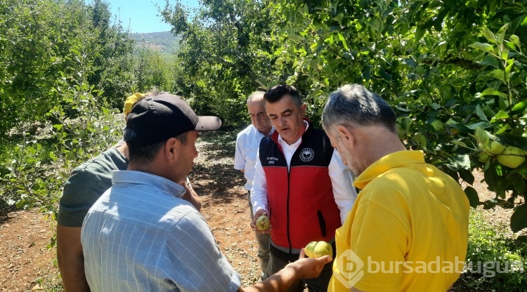 Konya'da dolu etkili oldu, bahçeler büyük zarar gördü