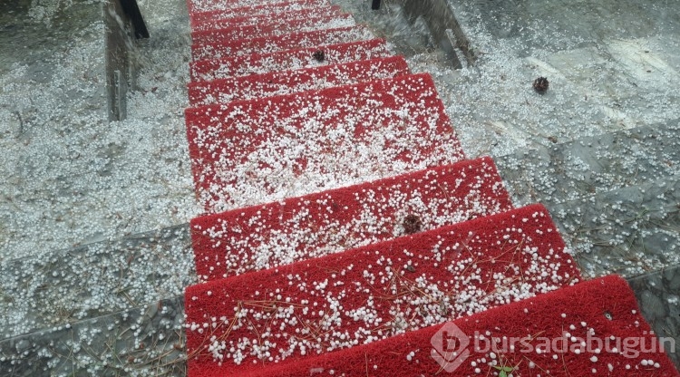 Konya'da dolu etkili oldu, bahçeler büyük zarar gördü