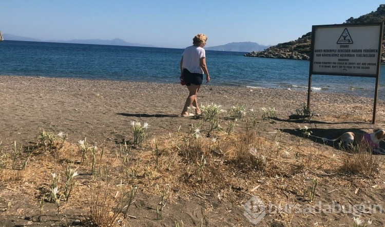 Koparmanın cezasını duyanlar yanından geçmiyor